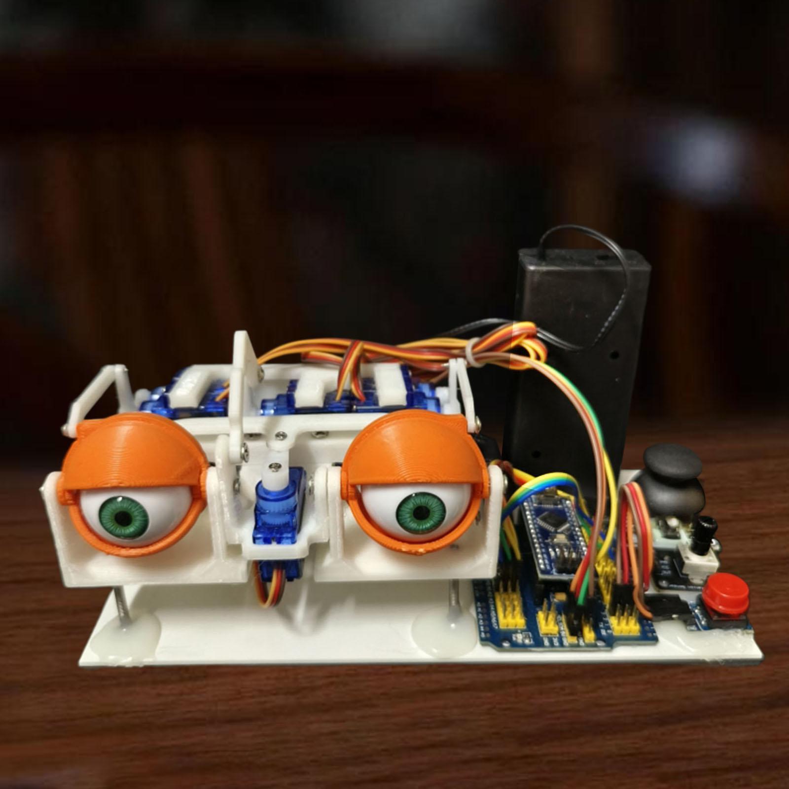 Animatronic Eyes for Stem Educ - Science Project Kit review and price