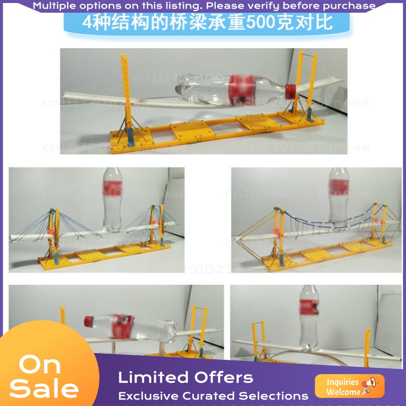 Bridge Structure DIY Model Kit - Science Kit review and price